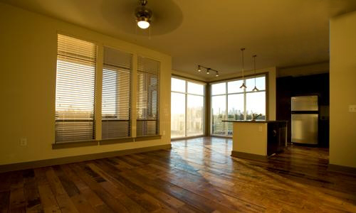 Houston Heights Apartment Wood Floor and Large Windows